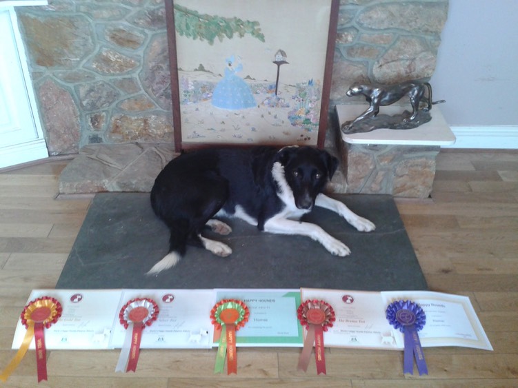 2018  Thomas and his Rosettes and Certificates